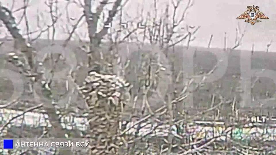 68 ��� ������ ���� � ������� ��� ��� � ����� ���, ������ ����� � ��������