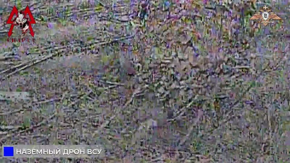 ������ ���������� ����, ���� � ������� ���