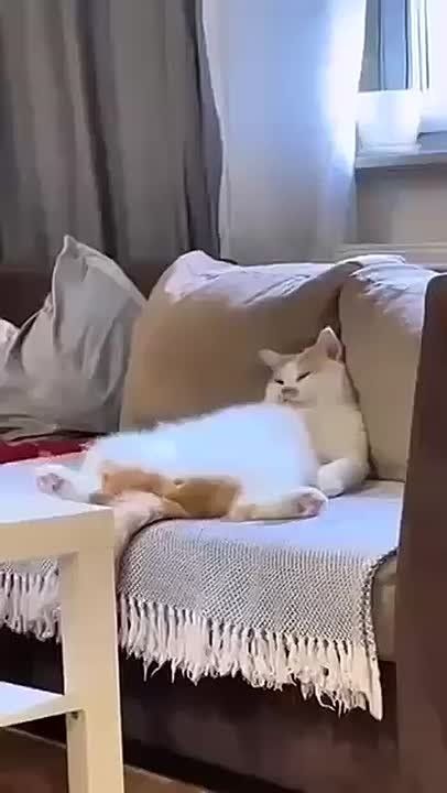 ���������, ����� ���� ��� ������
