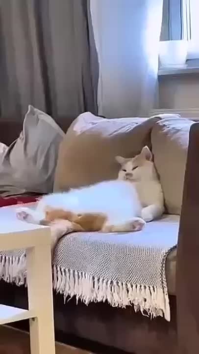 Состояние, когда доел все салаты