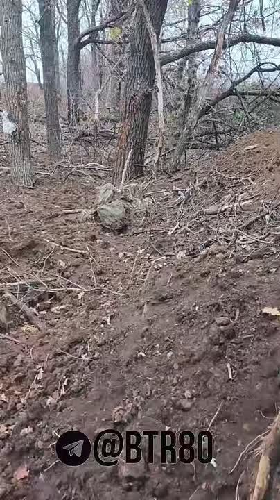 Бойня у Покровска: Последствия мясного "контрнаступа" ВСУ показали "Работайте, братья"