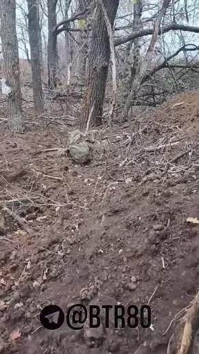 ����� � ���������: ����������� ������� "������������" ��� �������� "���������, ������"