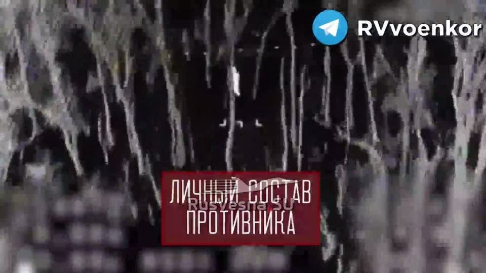 «тважные» ведут бои за Покровском, Мирноградом и в Днепропетровской области