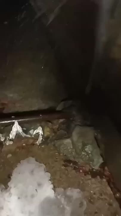 � ��������� ����� ������ ���� ��� ���� ������ ��������