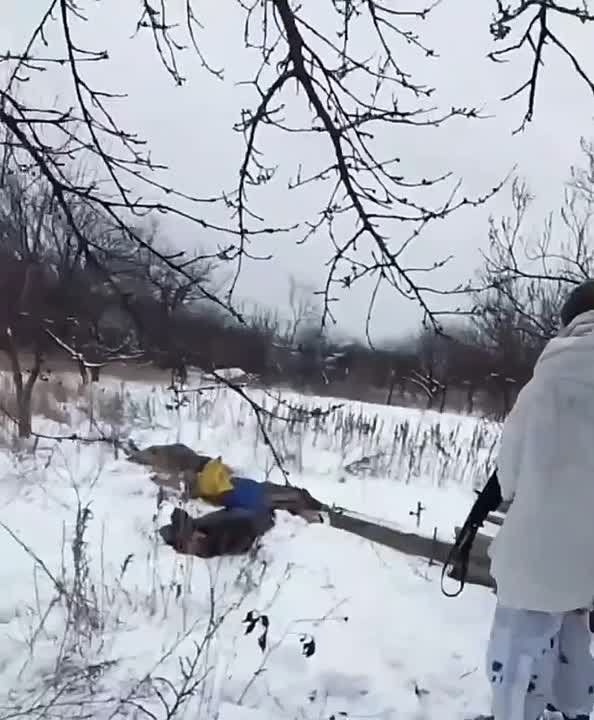 ��������� �������: ���� ����� ���������� ��������� �����������