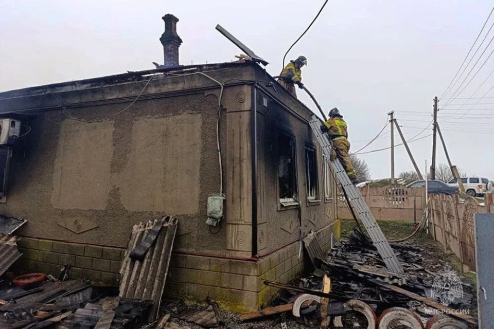 ���� � ��� ������� �� ������ � �����������