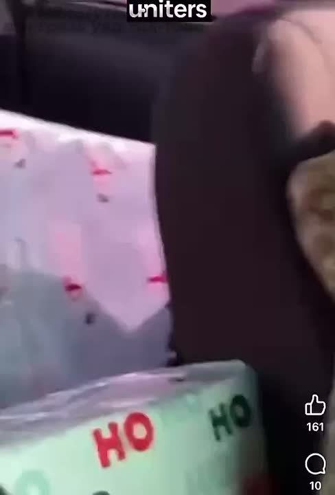 ���������. ������ ������� �������� FPV-����� �� ������ ���