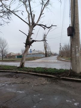 Сегодня, 5 января, сотрудниками МУП АГОД ДНР "ЗЕЛЕНОЕ СТРОИТЕЛЬСТВО Г.ДОНЕЦКА" проведены работы по санитарной обрезке и распилу аварийных деревьев в Ленинском внутригородском районе г.Донецка