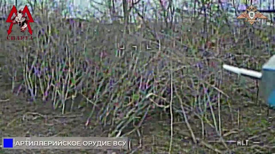 ������ ���������� ���. ������ ��� � ������