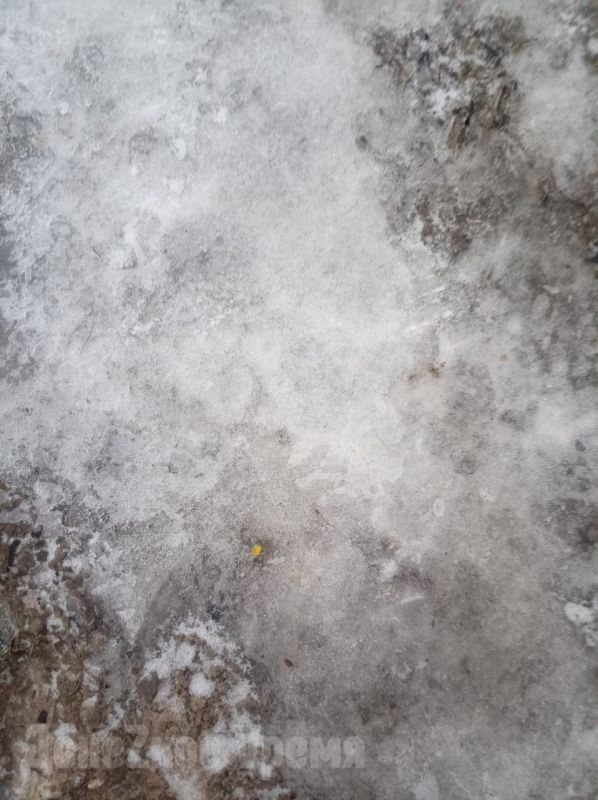 � ������� � ���� ���� �����, �� ������� ������: ��������� ������������ ����� ������ �� ����� ������