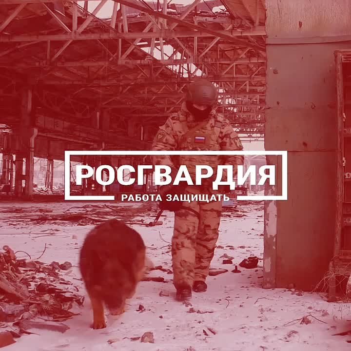 Незаметные герои большой войны