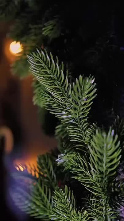 ������ ����������: �������� ���������� �� ������� ���������� ���������!