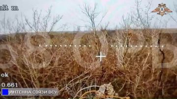 68 ��� ������ ��������, ������ � ������� ����� ��� � ������������� � �������