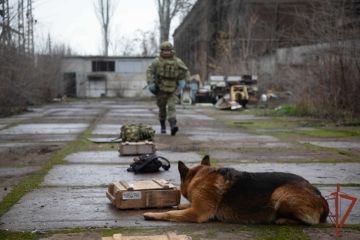 Кинологи Росгвардии провели тренировку со служебными собаками в Донецкой Народной Республике (видео)