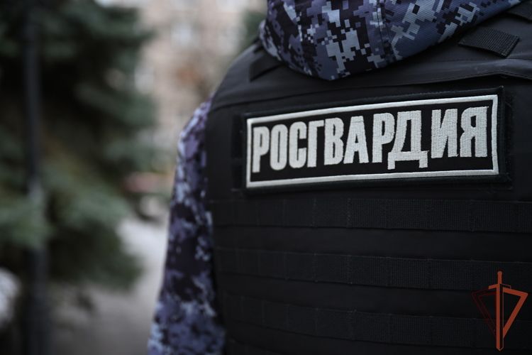 ���������� ���������� ������� ������ ���������, ����������� �������� �� ����� ������������ � �������