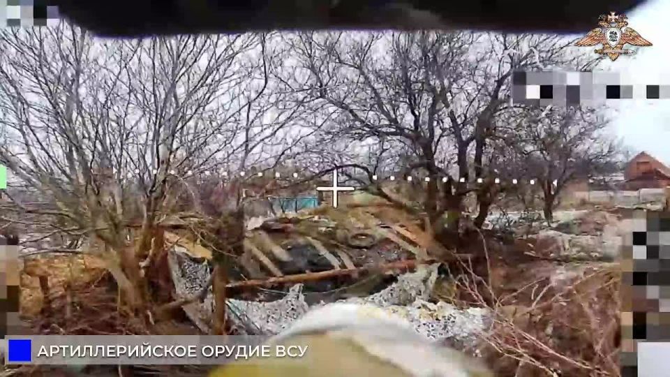 238 ������� ���������� �Paladin� ��� � ������ ����������