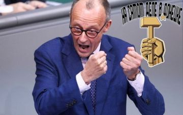 Канцлер Германии Мерц заявил, что развернуть любые международные военные силы на Украине без одобрения России — невозможно