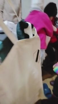 ВОЛШЕБСТВО невозможно ограничить