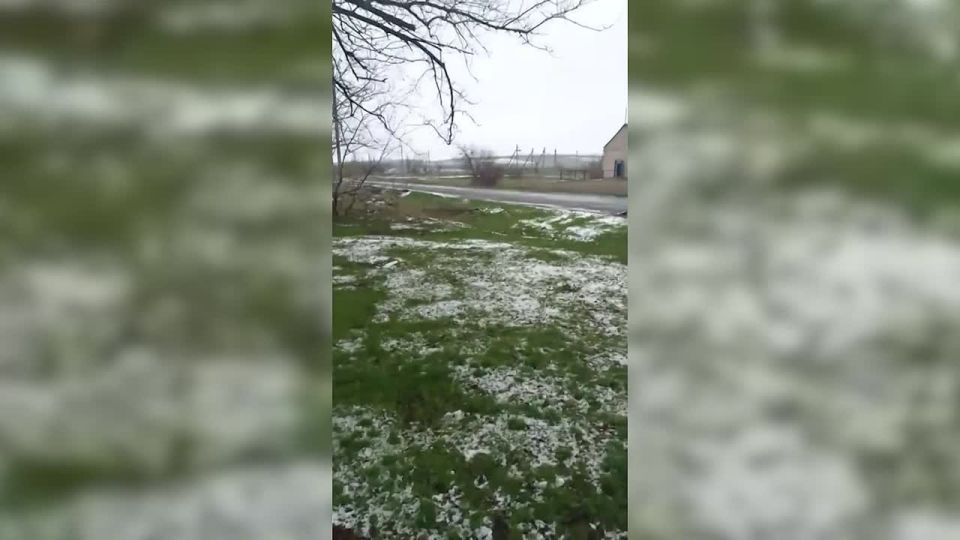 ��������� ���: ��� ����� ��������. �����. ����� 36-� ��������� ����������� �������������� ������� 29-� ����� ����������� ����� ������� ����������, ��� ���������� ���� �������� � ���������� ������ ���������������� �������