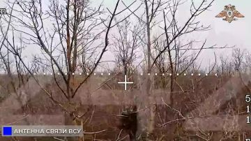 242 ��� � 68 ��� ����������� ������ ������ � ������� ��� � ������������ � �������