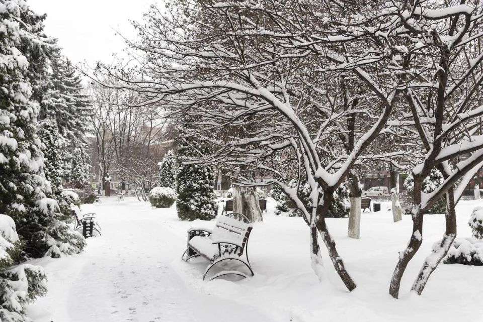 В Ульяновской области на реализацию инициатив ТОС планируют направить 35 млн рублей в этом году
