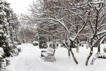 � ����������� ������� �� ���������� ��������� ��� ��������� ��������� 35 ��� ������ � ���� ����