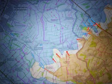 ���� �������: ������������ �����������. ������������� ��� "��" �������� ��� ��������� ���������� � ���������� ������������ � ����������� ��������� � ������� � �����������