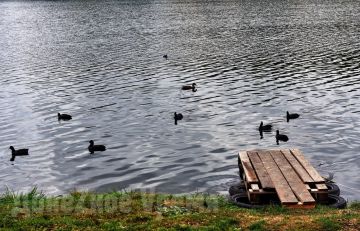 Потратили 87 миллионов рублей: в ДНР за три года расчистили 40 километров Кальмиуса