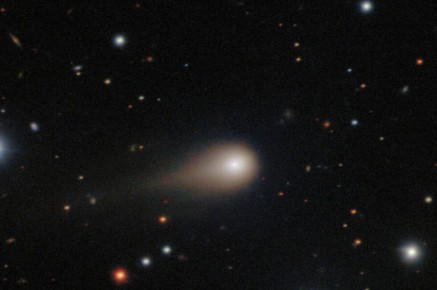 ���������� ������ ������ ����������� ����������� �� ����� �� ����������� ������