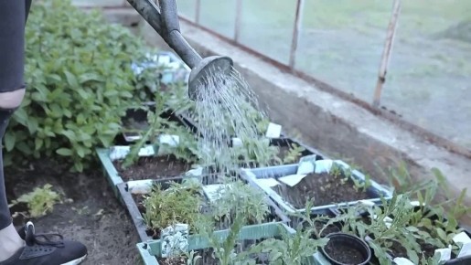 ���� ������ �������� �� ����, � �� ��������� ���!