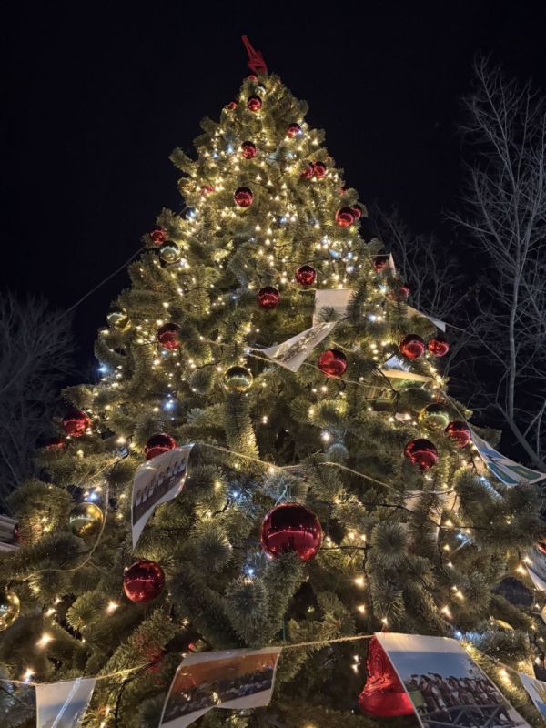 ������� ����������: ���������� ���� �� ����������, �������, ��������, ������� ������������ �� �������� ����� ������ ����� �������, ������� � ����� �������, � ����� ��������� ���������� �������