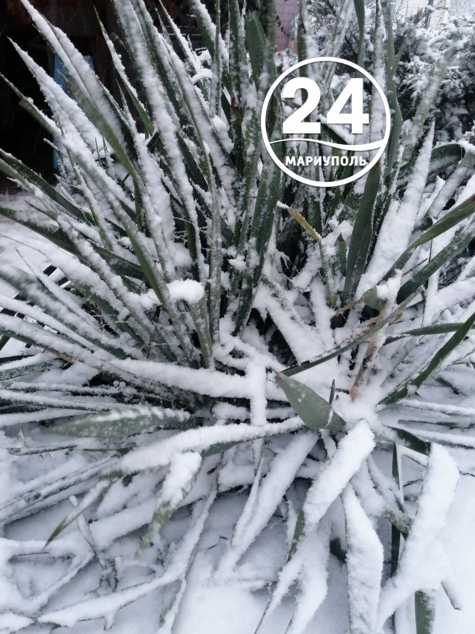 С добрым утром, Мариуполь!