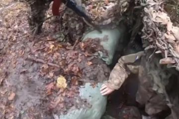 ������ ��� �� 10 ������. �� �� ��������� ���� �������� �� ��������� � �������� ������, ���������� � ������� �� ������ ������