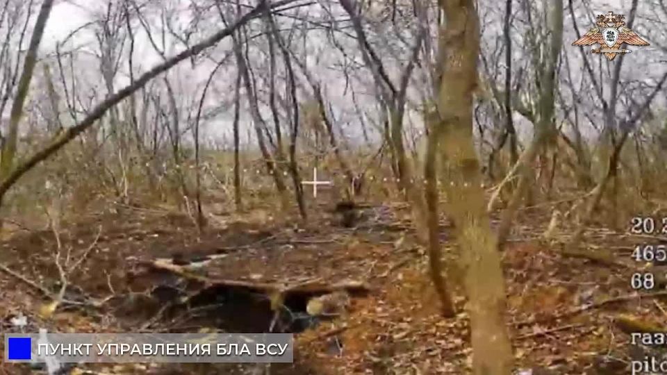 ������������� 150 ������� ������ �� ���, ������� � ������ ������ ��� � ������ � ������������