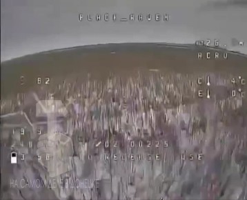 ����� ���� �� ���� ���� �� ������