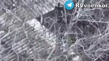 �������� ������� ���������� �������������� ������ ��� ��� ���������� � � ���������������� �������