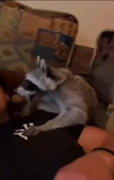 ������ ��� �� �������������� �����