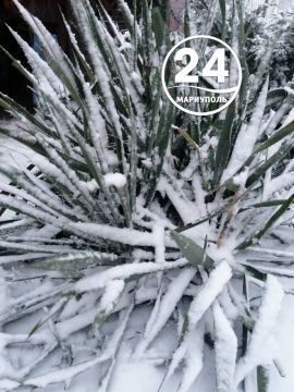 � ������ �����, ���������!