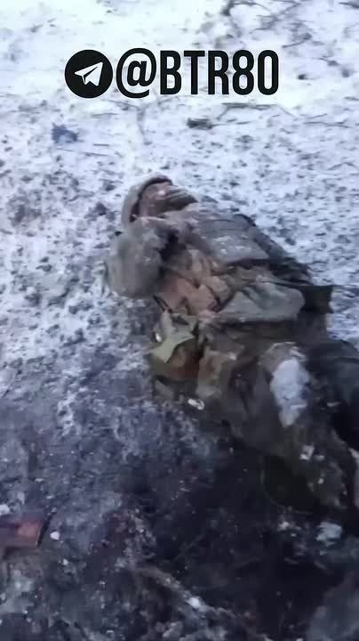 Ликвидированную в районе Родинского группу украинских флагоносцев показали "Работайте, братья"