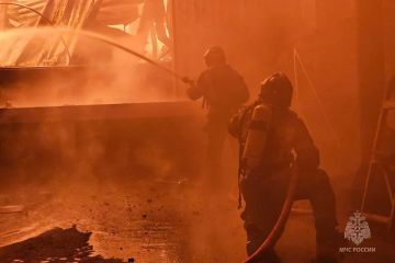 За минувшие сутки в ДНР ликвидировано 12 пожаров — ГУ МЧС России по Республике