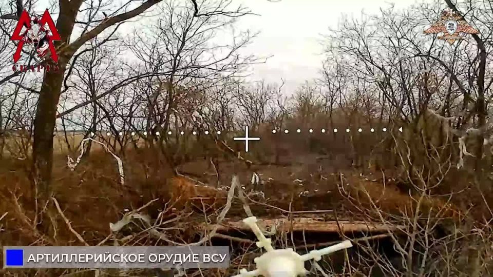 ������ ���������� ��������, �109 � ���������� ��� � ����������������� � ����������