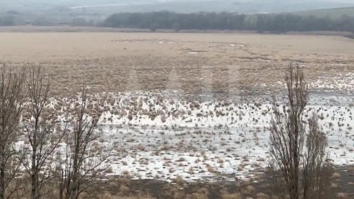 Найден источник воды в Монаховском карьере