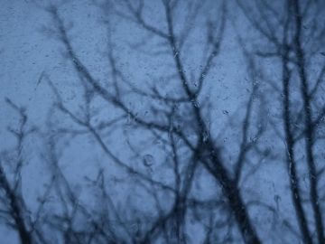 11 января в республике облачно, дождь, мокрый снег