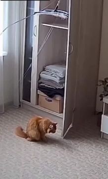 ����� �� ������ ����� ���������� ����������