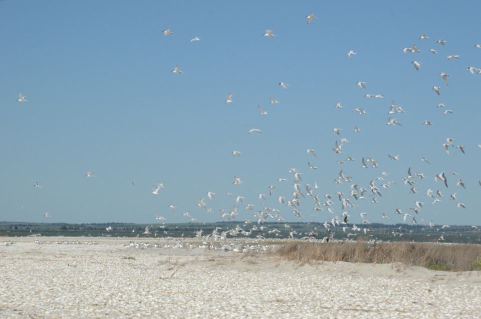 ����� �����: ������� ������ ������ ������!