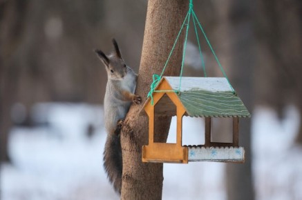 ������� ������: ��� ������ ������� ����� � ���� � ������