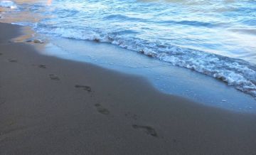 ЕИПП разработал схемы развития туризма в Донбассе и Новороссии