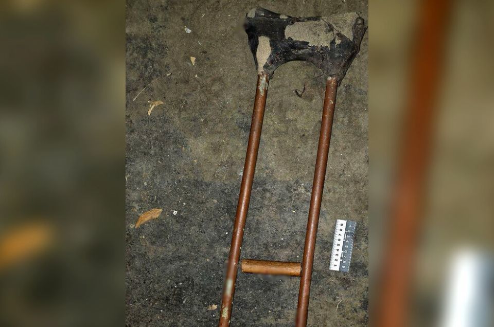 ����������� � �������� ���� �������� ���� ������������ ��������