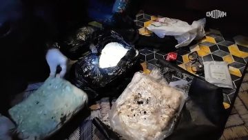 25 ������� ��������� � ��� �� �������� �����������, �������� � ���� �� �������