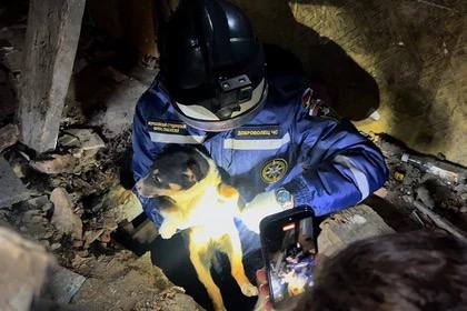 Добровольцы ВСКС достали щенка из заброшенного дома в Макеевке